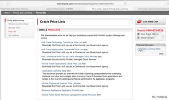 Oracle Software Pricing: Modeling Method Analysis and Reference Model (Abstract Research Paper for Algorithm Simulation Modeling Construction Basis Price Settings in Task B)